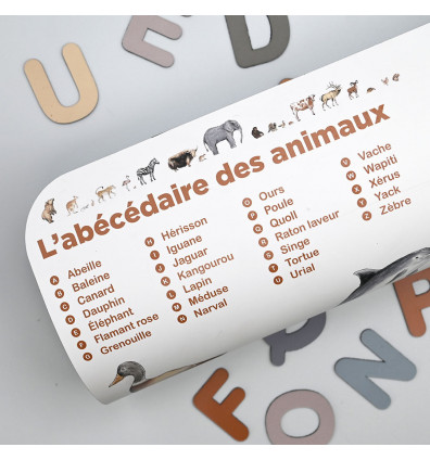 Magnetic animal alphabet board kit