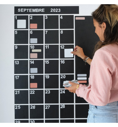 Magnetic wall calendar - dry-erase, reusable monthly planner.